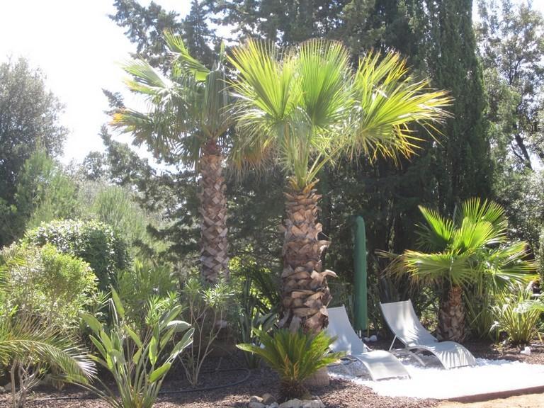 Domaine L'Helion Bed & Breakfast Taradeau Exterior photo